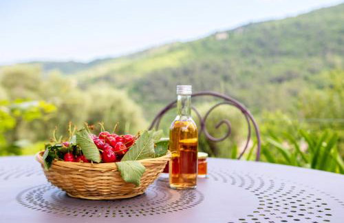 Holidays In Provence Alpes Maritimes - Foto 11