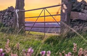 The Shearer's Hut in the Peak Park - Photo 15