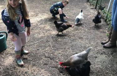 Beautiful Barn Conversion, 3 Bed, hot tub, sauna, gym, enclosed garden - Photo 6