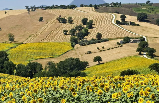 Cozy Couples Getaway w/ Wifi - Foto 32