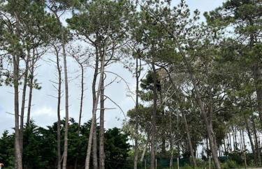 Casa de Maio - New T2 - ARRIFANA BEACH 650 mts - Foto 39