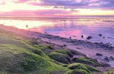 Nordseezimmer Koi - Foto 6