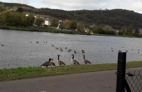 Chalet le logis des autre - Foto 53