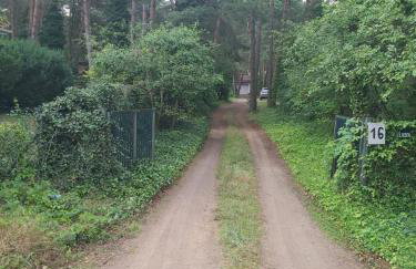 Tuczno Dom w lesie - Foto 38