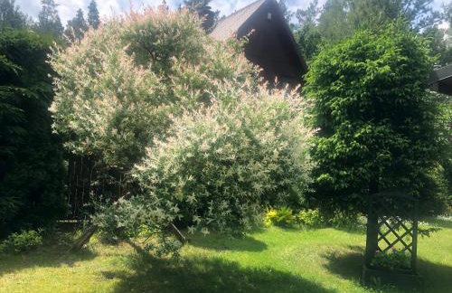 DOM Z BALI Villa Bajkowy Dom - Foto 67