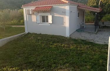 Avocado house - Photo 15