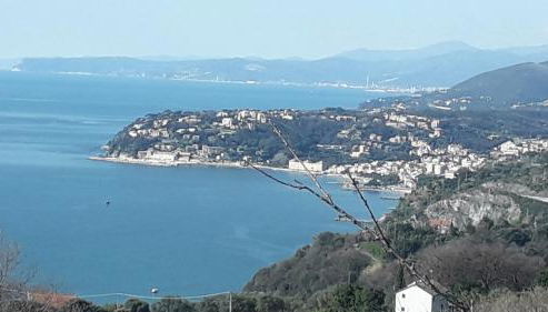 La casa tra gli ulivi - Foto 3