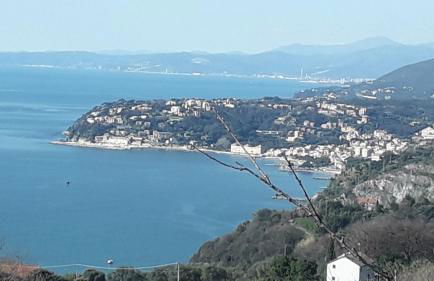 La casa tra gli ulivi - Foto 3