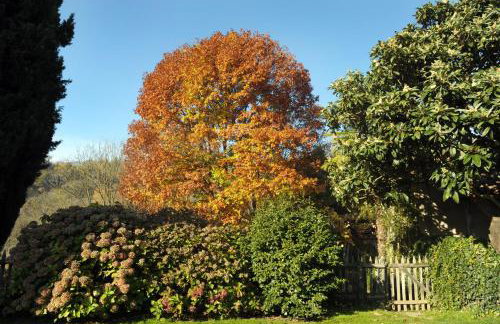 Ca' Becca-Bioglio La casa dei Giardini - Photo 42
