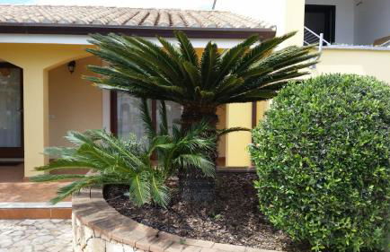 VILLE MONDO a 350 metri dalla spiaggia - Foto 29