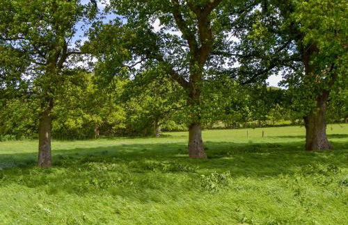 Woodlands Dairy Cottage - Foto 19