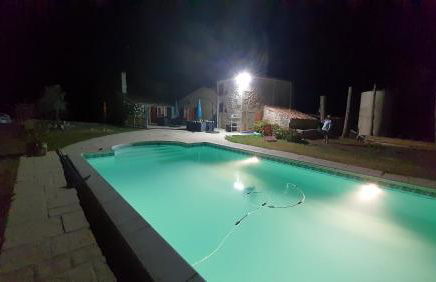 La Charmentaise - Foto 10