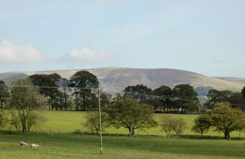 Bramble Cottage - 27978 - Foto 8