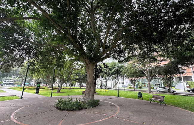 Aparts4Days 1BedroomApartment San Isidro - Foto 17