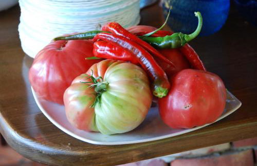 Giucalem La Casa Negli Orti - Foto 27