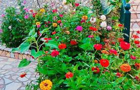 Apartment Voula Myrtos - Foto 8