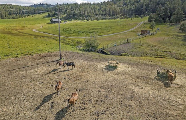Cosmos Cabin at Eden Valley - Foto 23