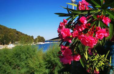 Apartment Ivan - Photo 3