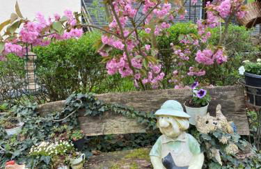 Ferienwohnung Rockenbach - Foto 40