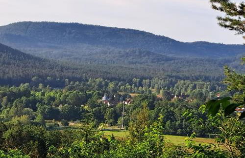 Wasgauer Felsen und Seen - Foto 20