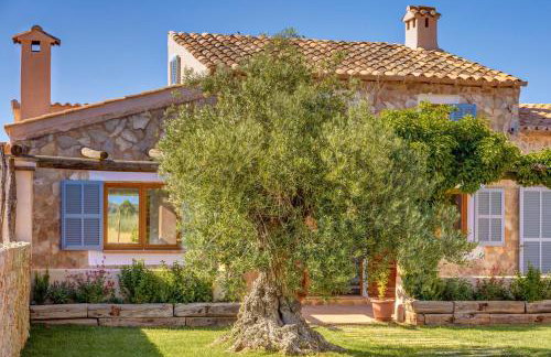 Sa Vinya Jove - Foto 13