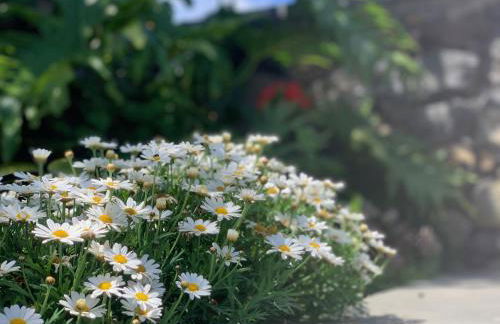 Casa La Masía - Foto 59