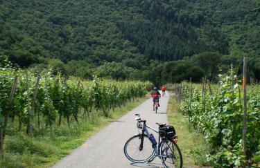 Ferienwohnung zur Burg Eltz - Foto 33