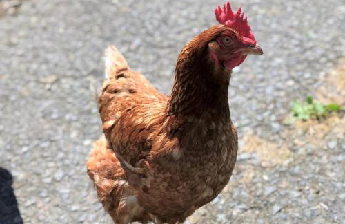 1 Bed in Launceston oc-36500 - Foto 11