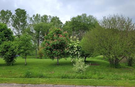 Mobil home Nature - Foto 9