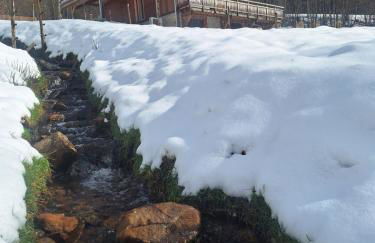 Chalet l'Appel de la Forêt - Foto 75