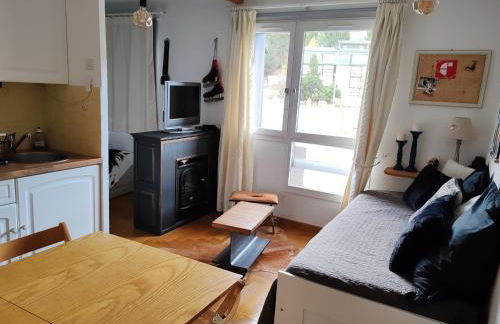 Apt confortable au pied des pistes et de la forêt - Foto 9