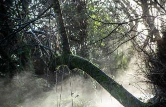 West Cottage, Cerne Abbas Lane - Photo 25