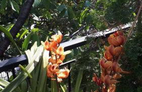 LUXURIOUS APPARTMENTS KATERINA - Foto 43