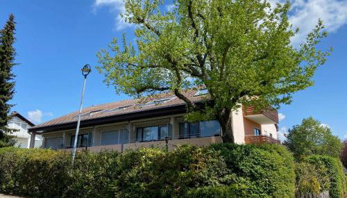 Höri-Nest Abendsonne-Appartement - Foto 4