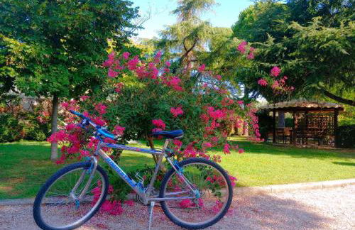 Agriturismo La Piana - Foto 139