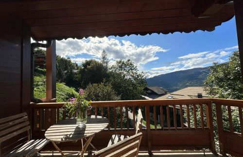 Appartement 'Paradi Ski, Bike & Hike' - Foto 13