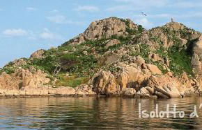 Mussilimbrosu - Photo 16