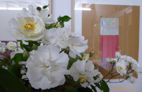 La Casa del Giardiniere - Foto 50