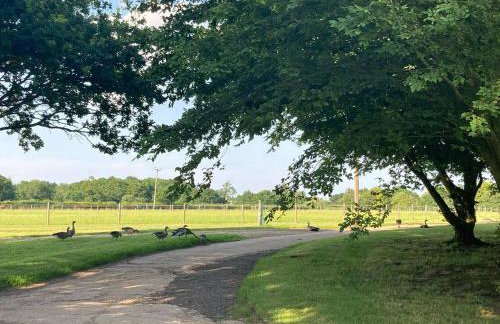 The Old Dairy & The Old Stables - Foto 6