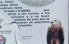 Chalet de artistas - Photo 48