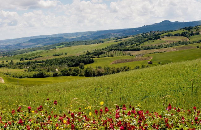 Le Fontanacce Villa With Private Pool - Foto 24