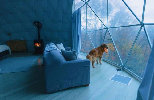 Asheville Luxury Glamping Dome - Mountain Views, and Hot Tub! - Foto 31