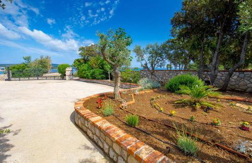 Vila s jacuzzijem i bazenom Mavrinac - Foto 10