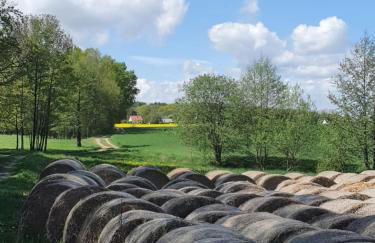 Anni's Waldblick - Foto 15