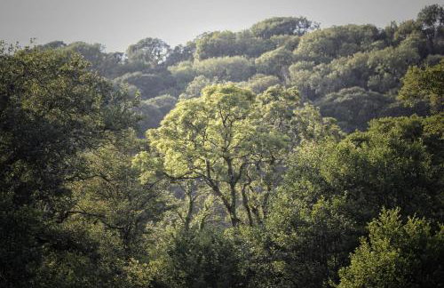 The Barley Mill - Foto 42