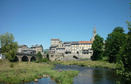 Haute-loire Tence Belle maison neuve plain-pied 4 étoiles avec parc arboré clos - Foto 9