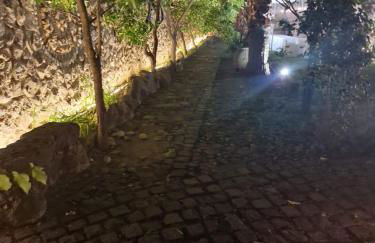 Tenuta Oliva - Foto 31