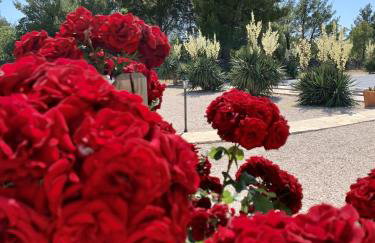 Villa Tovarovica - Foto 65