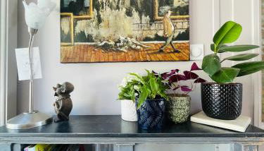 Green Garden - Appartement Terrasse centre Lille - Foto 5