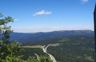 Idyllisch gelegene Ferienwohnung Xaver im Herzen des bayerischen Waldes - Foto 4